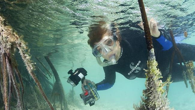 famous marine biologists