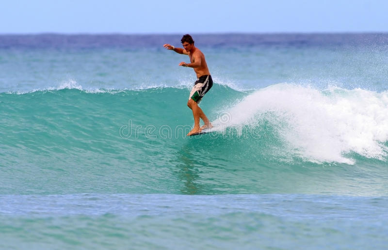 surf hawaii - surfboards on Waikiki Beach photo