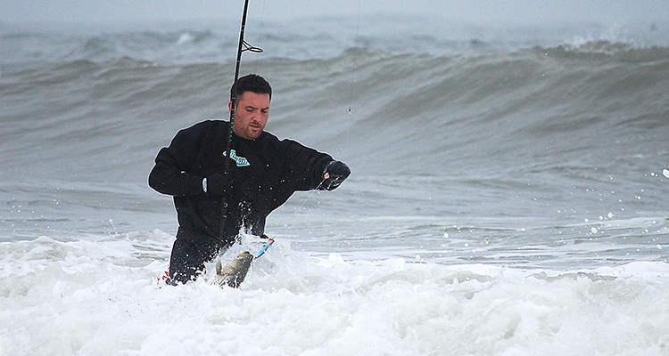 Pounding Surf and Nukin Wind surfing big photo